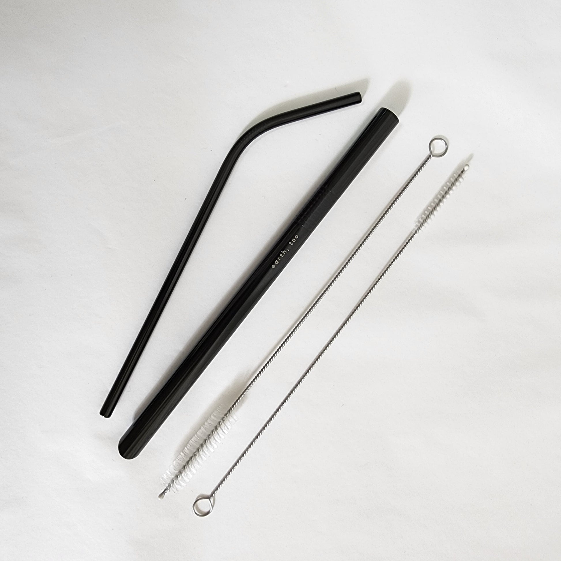 Sustainability Starter Steel Straw Set Lifestyle Earth, Too