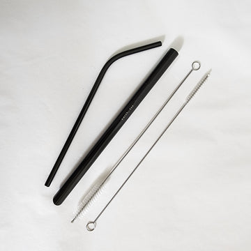 Sustainability Starter Steel Straw Set