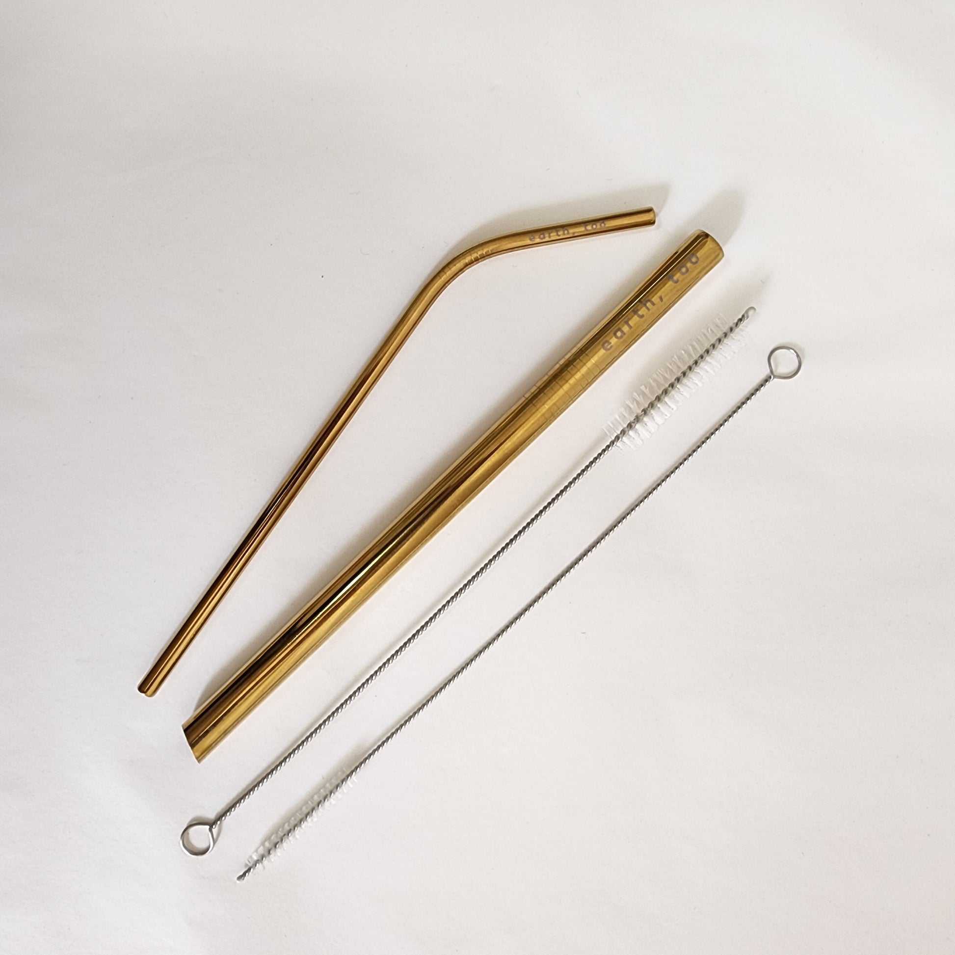 Sustainability Starter Steel Straw Set Lifestyle Earth, Too