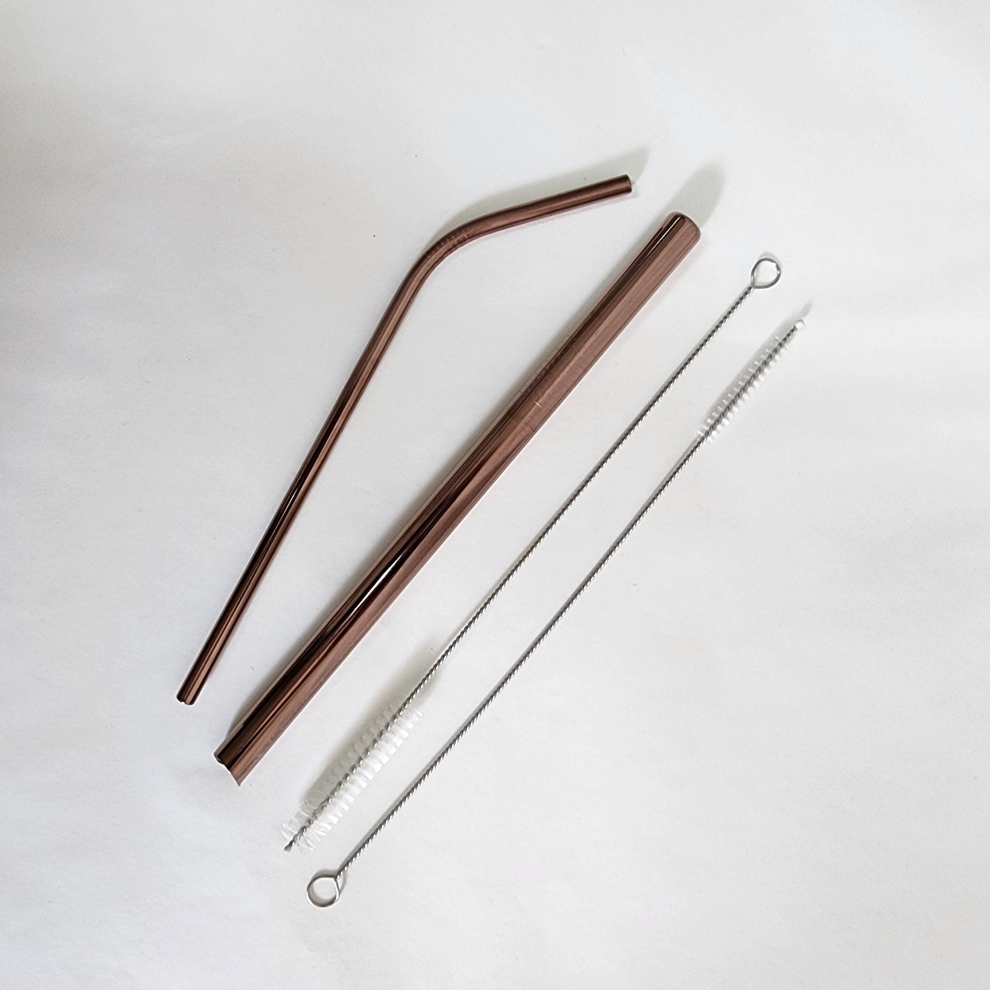 Sustainability Starter Steel Straw Set Lifestyle Earth, Too