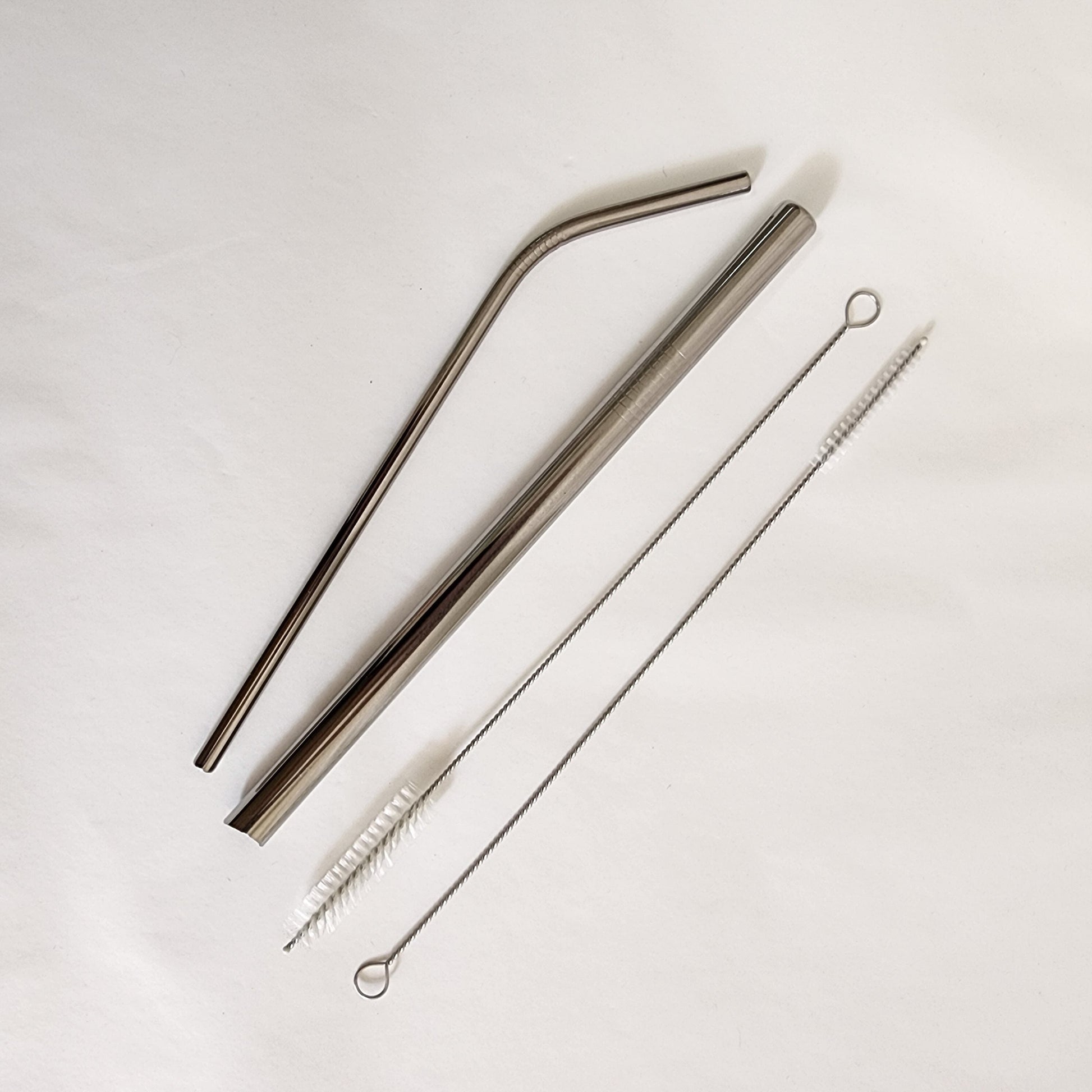 Sustainability Starter Steel Straw Set Lifestyle Earth, Too